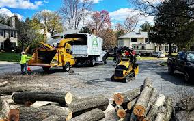 Best Tree Removal Service  in Tonkawa, OK